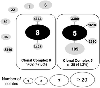 Hospital-Associated Multidrug-Resistant MRSA Lineages Are Trophic to the Ocular Surface and Cause Severe Microbial Keratitis